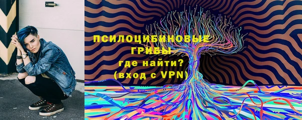 apvp Аркадак