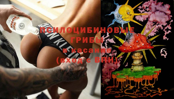 apvp Аркадак