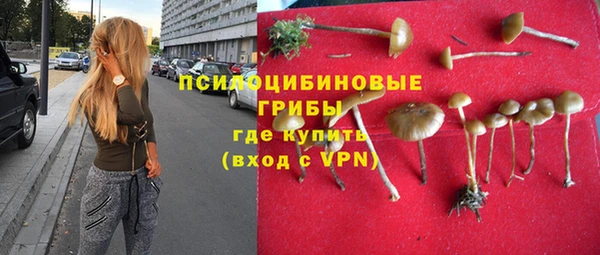 Альфа ПВП Арсеньев