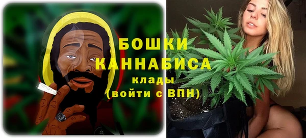 apvp Аркадак