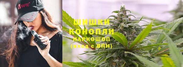 apvp Аркадак